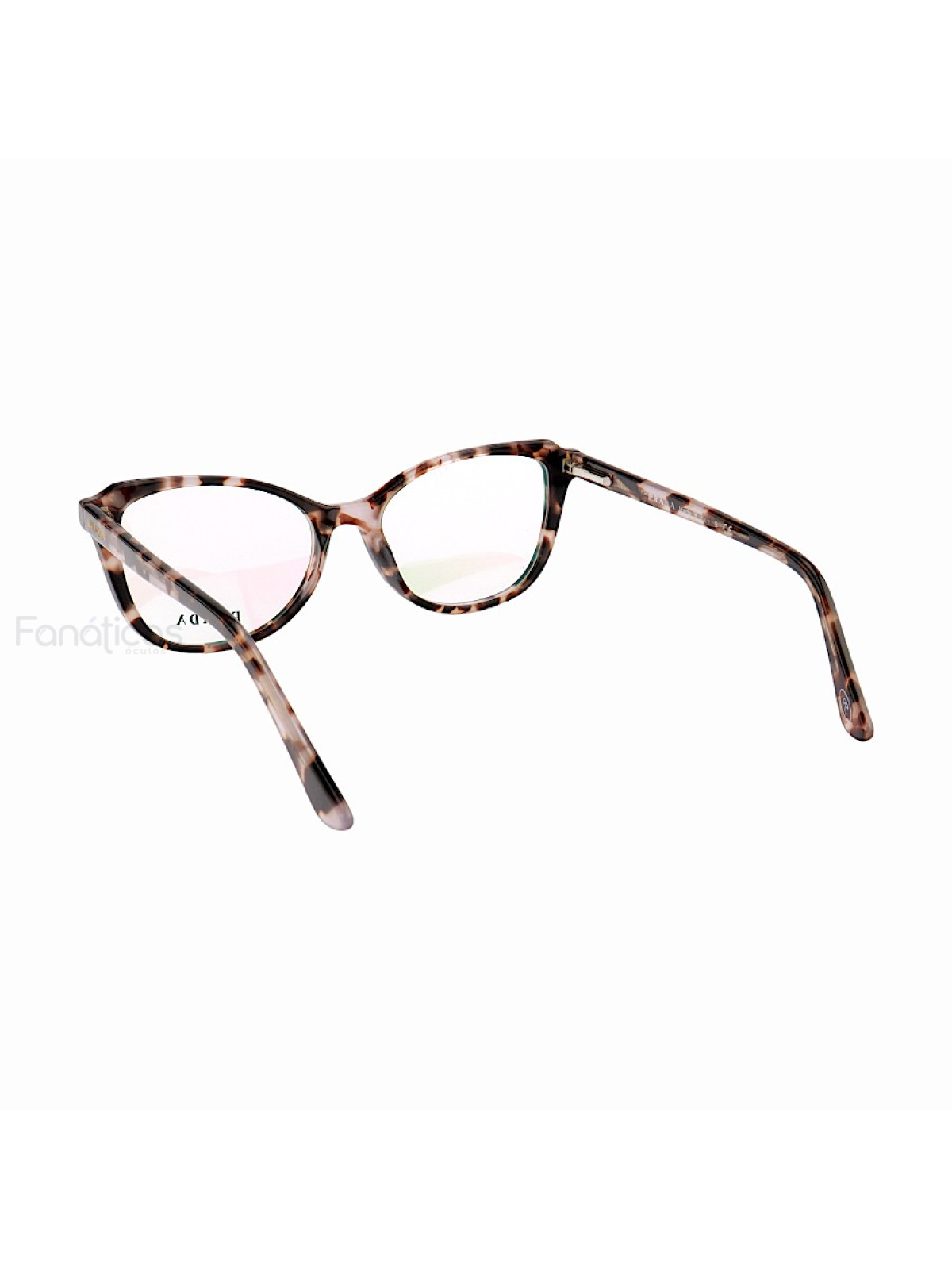 Armação de Óculos Oval PD5376 Rosa Tartaruga