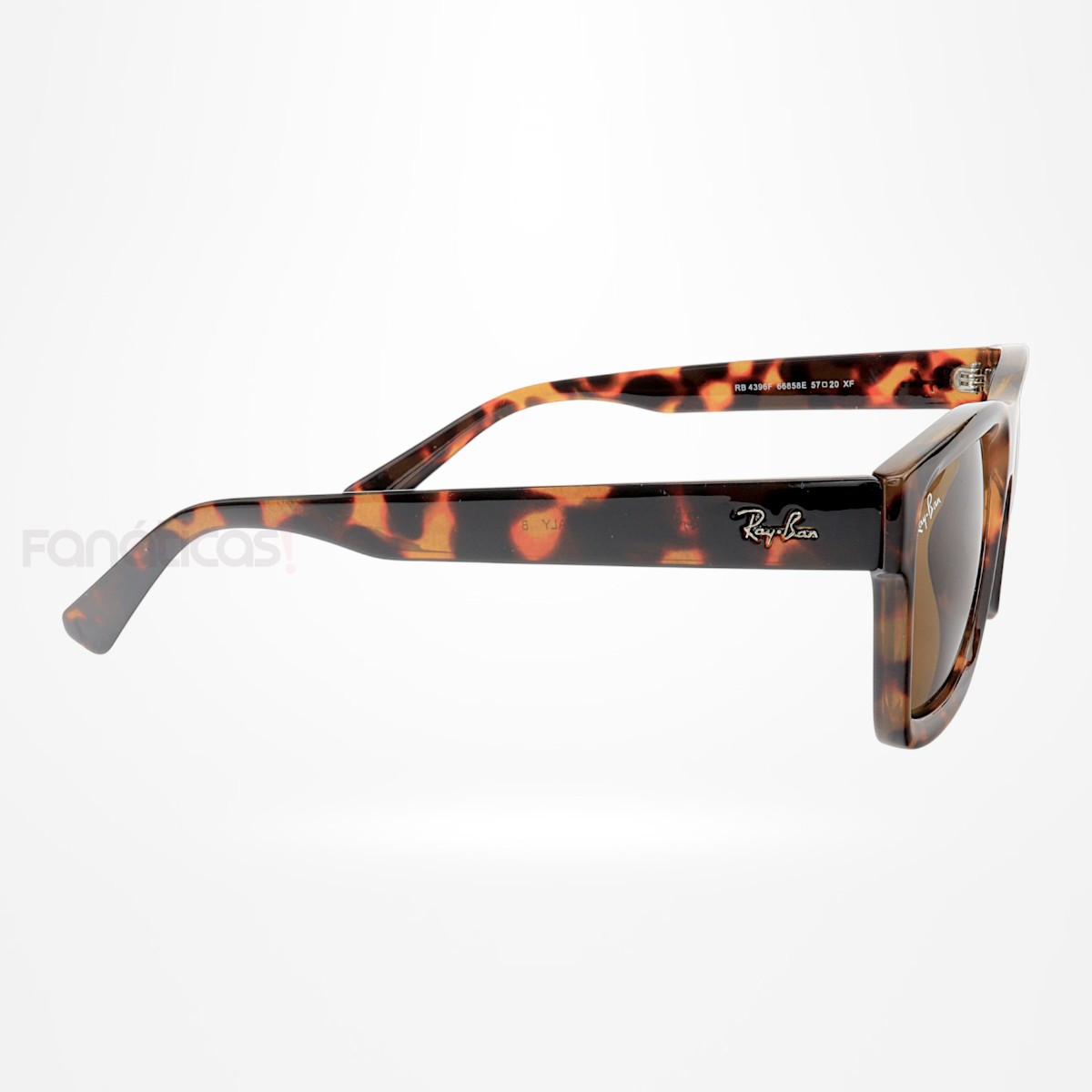 Óculos De Sol Quadrado Warren RB4396 Tartaruga