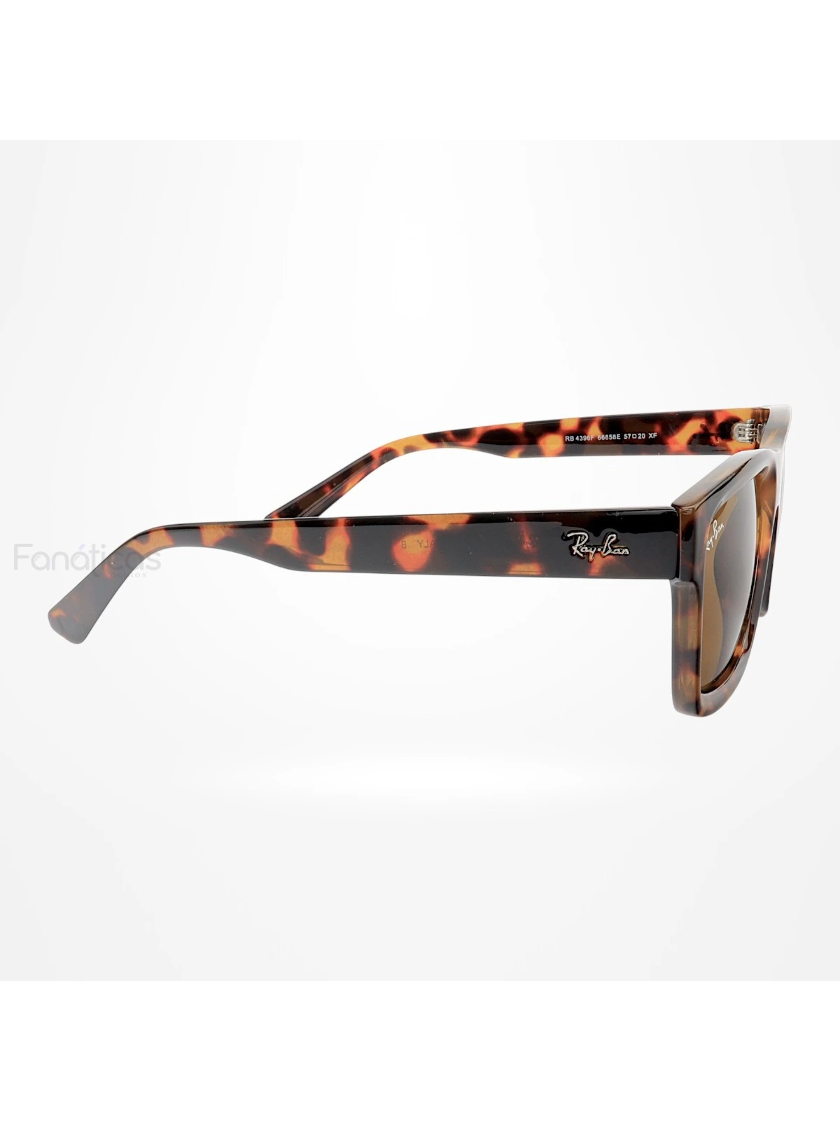 Óculos De Sol Quadrado Warren RB4396 Tartaruga